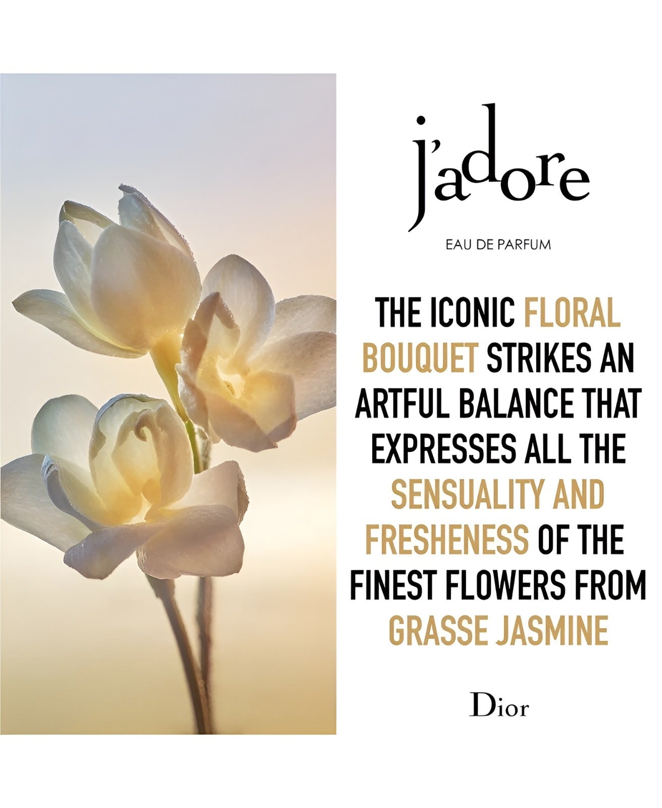 Christian Dior J'adore Women's Eau De Parfum Spray 3.4oz / 100ml