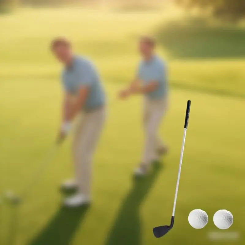 1pc Golf Cues - 2pcs Golf Balls - Portable Metal Golf Cues - Golf Novice Golf Training Cues - for Family Gatherings - Outdoor Activities - Parties And Picnics - Detachable Design teeZone