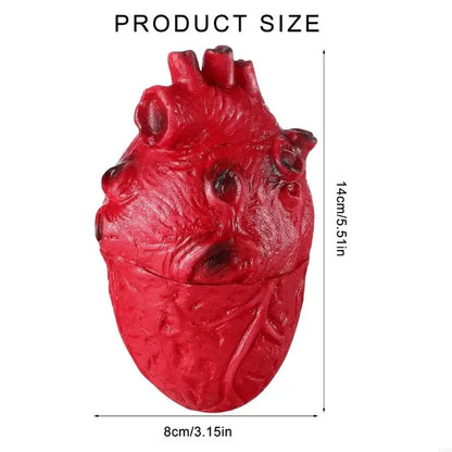 Realistic Halloween Heart Props for Scary Party Decorations Simulated Organ