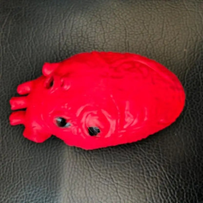 Realistic Halloween Heart Props for Scary Party Decorations Simulated Organ