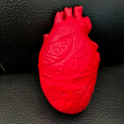 Realistic Halloween Heart Props for Scary Party Decorations Simulated Organ